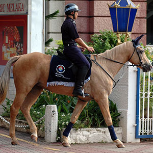ツーリストポリスの騎馬警官