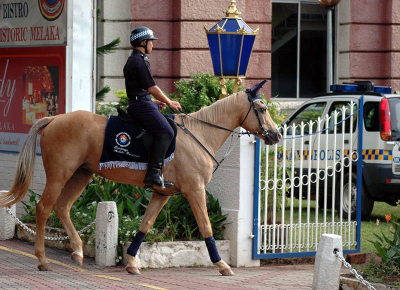 マラッカの騎馬警官