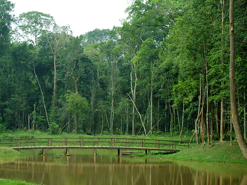 ジャングルで森林浴♪　ウータン・パーク自然公園