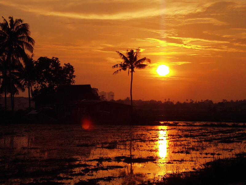 稲刈りの終わった水田に沈む夕陽　マラッカ近郊にある「タマンサガ」にて