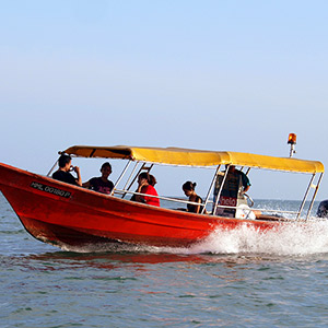 マラッカ海峡をぶっ飛ばすプラウ・ブサ島行きの海上タクシーの正しい楽しみ方